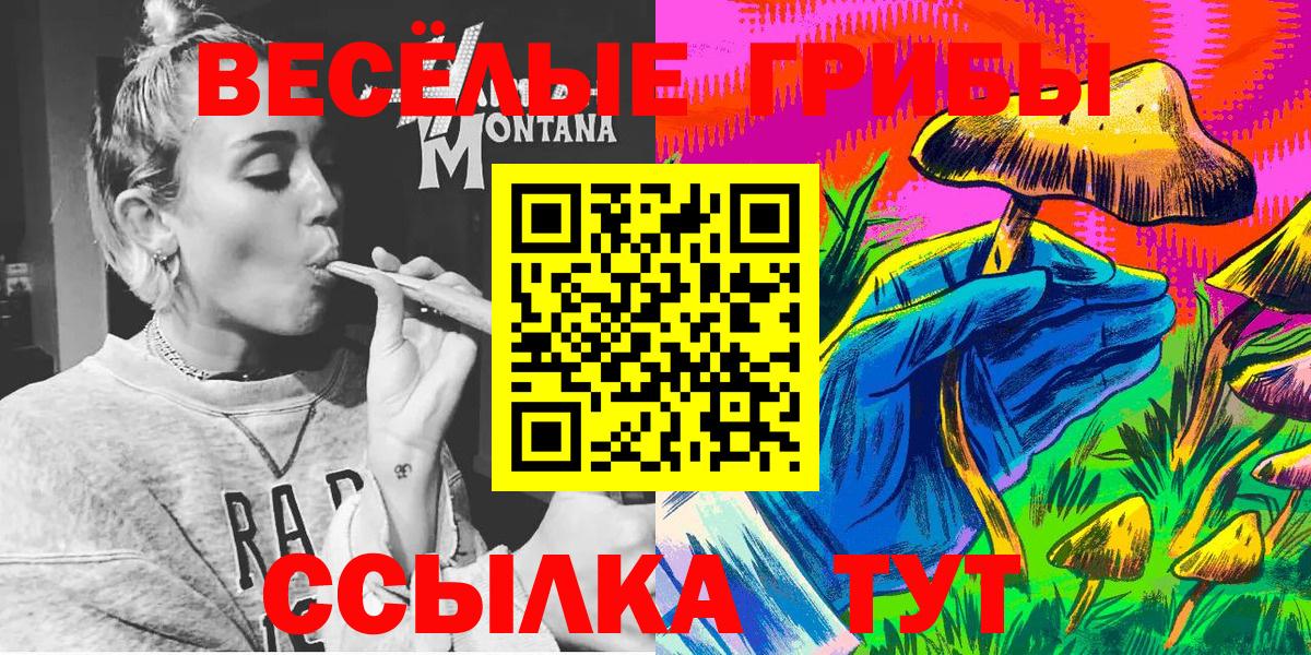 дарнет шоп  Галлюциногенные грибы ЛСД  Братск  Вход с VPN  Галлюциногенные грибы мицелий 